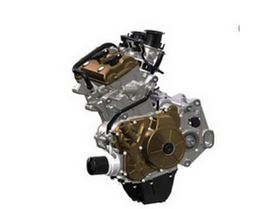 RS660 Engine Parts (Stock Replacement Parts)