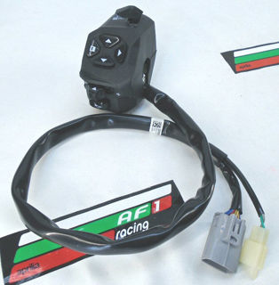 OEM Aprilia LH Switchgroup Assembly - 2D000548