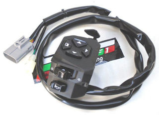 OEM Moto Guzzi LH Switch Group - 2D000549