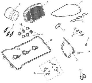 OEM Triumph Engine Service Kit - TU-T3990217