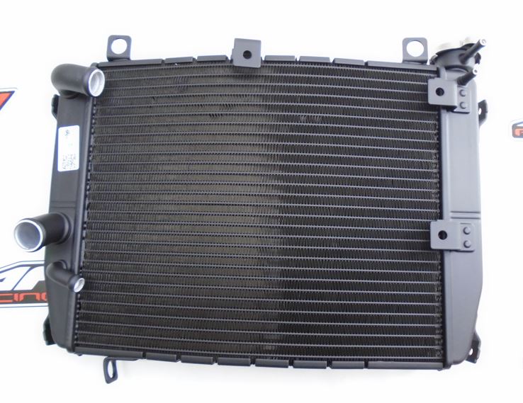 OEM Aprilia Radiator w/Cap - 2B006694