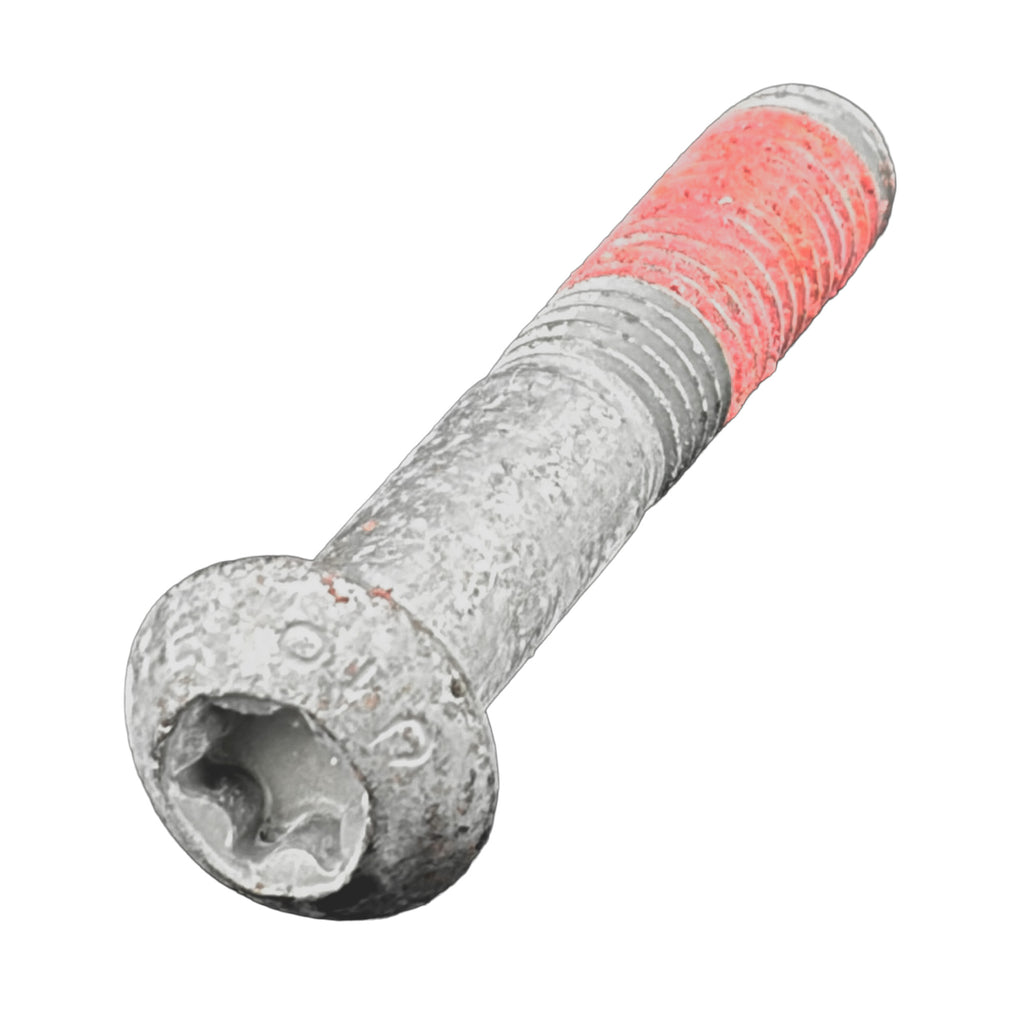 OEM Aprilia Torx Head Bolt M10x55 - 2B007275